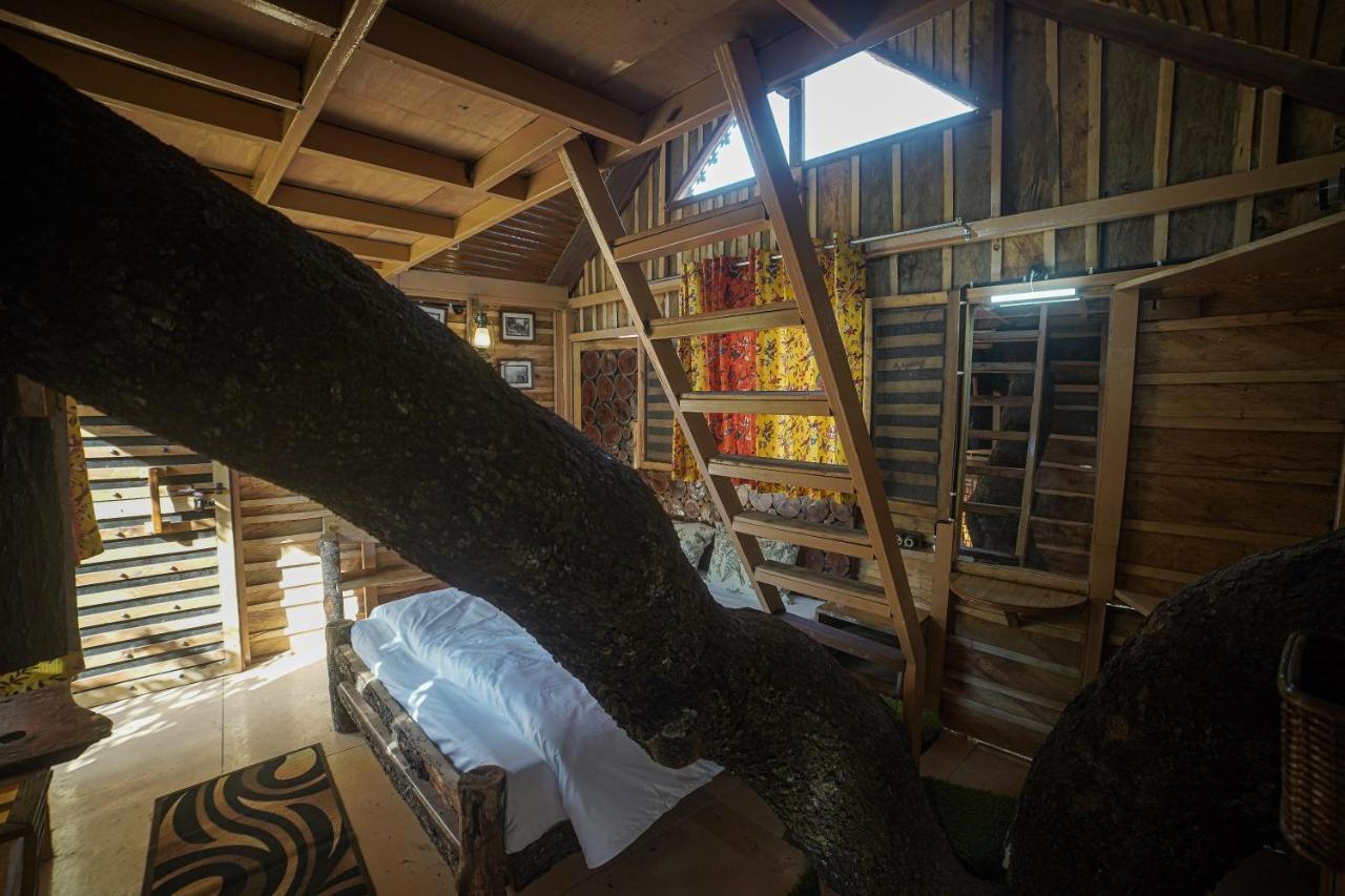 Tiger Fall Eco Resort Chakrāta Dış mekan fotoğraf