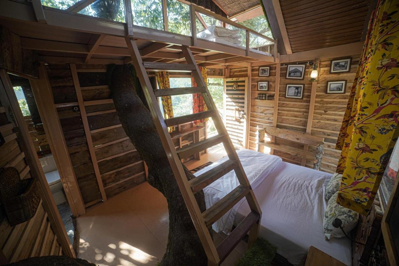 Tiger Fall Eco Resort Chakrāta Dış mekan fotoğraf